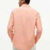 Camisa Oxford de corte regular Camisa Oxford de corte regular