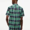 Camisa Oxford xadrez arrojada de corte regular Camisa Oxford xadrez arrojada de corte regular