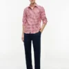 Camisa Oxford xadrez de corte regular Camisa Oxford xadrez de corte regular