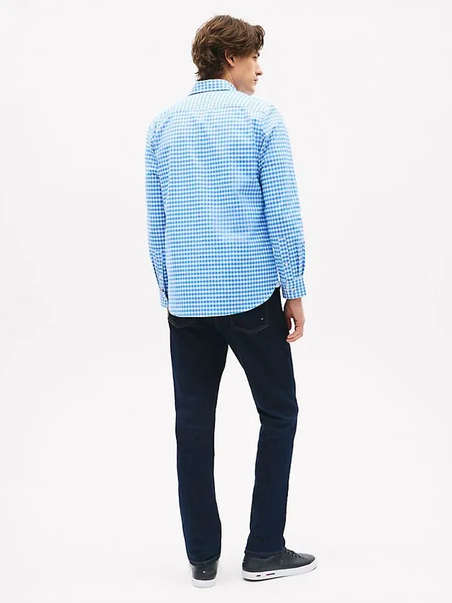 Camisa Oxford xadrez de corte regular Camisa Oxford xadrez de corte regular