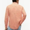 Camisa Oxford xadrez de corte regular Camisa Oxford xadrez de corte regular