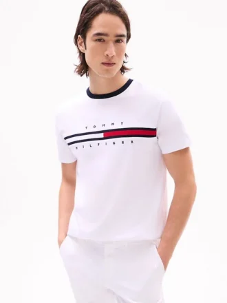 Camiseta com logotipo bordado em listras de bandeira