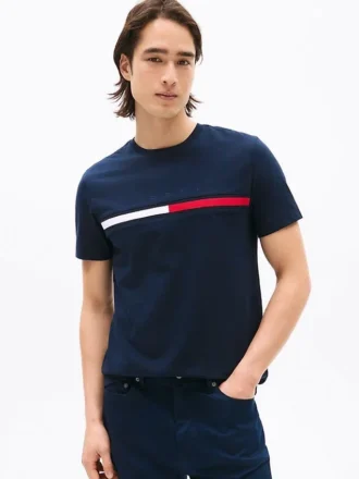 Camiseta com logotipo bordado em listras de bandeira