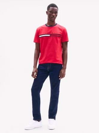 Camiseta com logotipo bordado em listras de bandeira