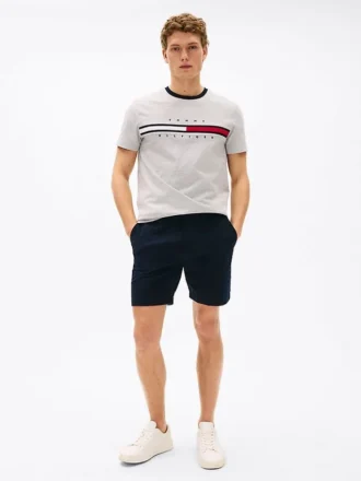 Camiseta com logotipo bordado em listras de bandeira