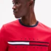 Camiseta com logotipo bordado em listras de bandeira Camiseta com logotipo bordado em listras de bandeira