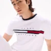 Camiseta com logotipo bordado em listras de bandeira Camiseta com logotipo bordado em listras de bandeira