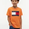 Camiseta infantil Tommy com logotipo da bandeira Camiseta infantil Tommy com logotipo da bandeira