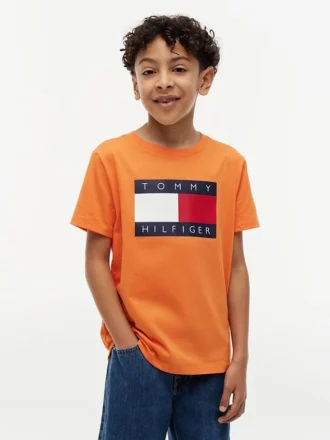 Camiseta infantil Tommy com logotipo da bandeira