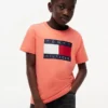 Camiseta infantil Tommy com logotipo da bandeira Camiseta infantil Tommy com logotipo da bandeira