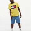 Camiseta infantil Tommy com logotipo da bandeira Camiseta infantil Tommy com logotipo da bandeira