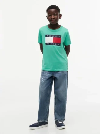 Camiseta infantil Tommy com logotipo da bandeira