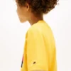Camiseta infantil Tommy com logotipo da bandeira Camiseta infantil Tommy com logotipo da bandeira