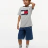 Camiseta infantil Tommy com logotipo da bandeira Camiseta infantil Tommy com logotipo da bandeira