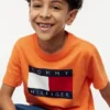 Camiseta infantil Tommy com logotipo da bandeira Camiseta infantil Tommy com logotipo da bandeira