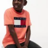 Camiseta infantil Tommy com logotipo da bandeira Camiseta infantil Tommy com logotipo da bandeira