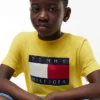 Camiseta infantil Tommy com logotipo da bandeira Camiseta infantil Tommy com logotipo da bandeira