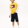 Camiseta infantil Tommy com logotipo da bandeira Camiseta infantil Tommy com logotipo da bandeira