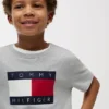 Camiseta infantil Tommy com logotipo da bandeira Camiseta infantil Tommy com logotipo da bandeira