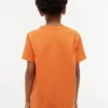 Camiseta infantil Tommy com logotipo da bandeira Camiseta infantil Tommy com logotipo da bandeira