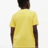Camiseta infantil Tommy com logotipo da bandeira Camiseta infantil Tommy com logotipo da bandeira
