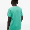 Camiseta infantil Tommy com logotipo da bandeira Camiseta infantil Tommy com logotipo da bandeira