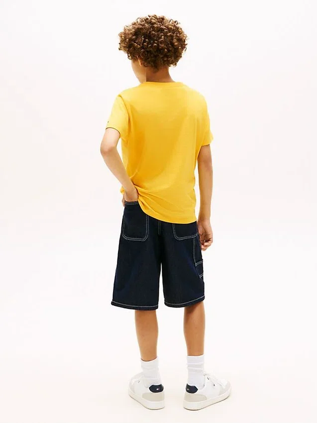 Camiseta infantil Tommy com logotipo da bandeira Camiseta infantil Tommy com logotipo da bandeira