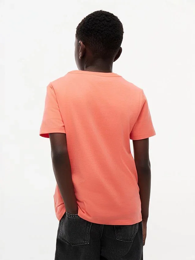 Camiseta infantil Tommy com logotipo da bandeira Camiseta infantil Tommy com logotipo da bandeira