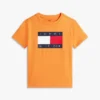 Camiseta infantil Tommy com logotipo da bandeira Camiseta infantil Tommy com logotipo da bandeira