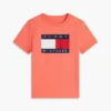 Camiseta infantil Tommy com logotipo da bandeira Camiseta infantil Tommy com logotipo da bandeira