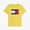 Camiseta infantil Tommy com logotipo da bandeira Camiseta infantil Tommy com logotipo da bandeira