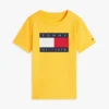 Camiseta infantil Tommy com logotipo da bandeira Camiseta infantil Tommy com logotipo da bandeira