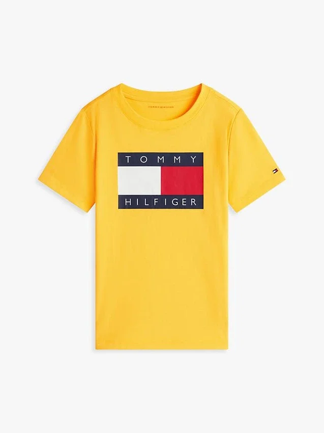 Camiseta infantil Tommy com logotipo da bandeira Camiseta infantil Tommy com logotipo da bandeira