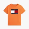 Camiseta infantil Tommy com logotipo da bandeira Camiseta infantil Tommy com logotipo da bandeira