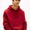Camisola com capuz e logótipo da bandeira nas costas Camisola com capuz e logótipo da bandeira nas costas