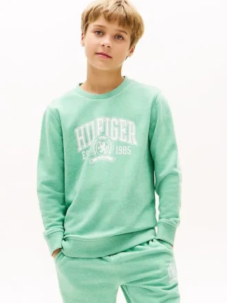Camisola com logótipo Hilfiger 85 para criança