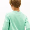 Camisola com logótipo Hilfiger 85 para criança Camisola com logótipo Hilfiger 85 para criança
