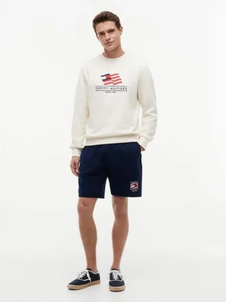 Camisola de gola redonda com logótipo de bandeira ondulada