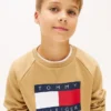 Camisola Raglan com logótipo Tommy Flag para criança Camisola Raglan com logótipo Tommy Flag para criança