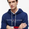 Hoodie com capuz em blocos de cor e logótipo Tommy bordado Hoodie com capuz em blocos de cor e logótipo Tommy bordado