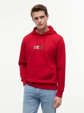 Hoodie com logótipo em script