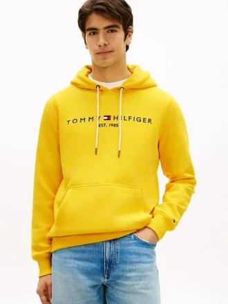 Hoodie com logótipo Tommy bordado
