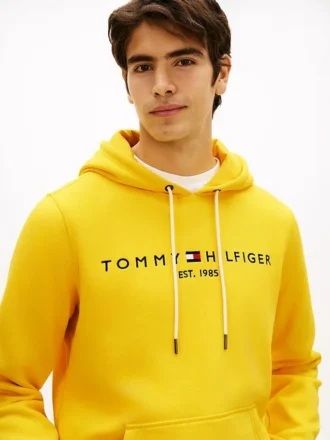 Hoodie com logótipo Tommy bordado
