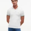 Polo de Algodão Liso com Corte Justo Polo de Algodão Liso com Corte Justo