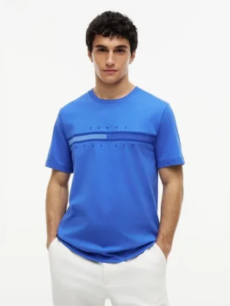 T-shirt com logótipo da bandeira em tons