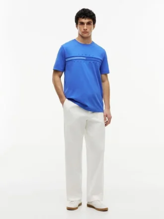 T-shirt com logótipo da bandeira em tons