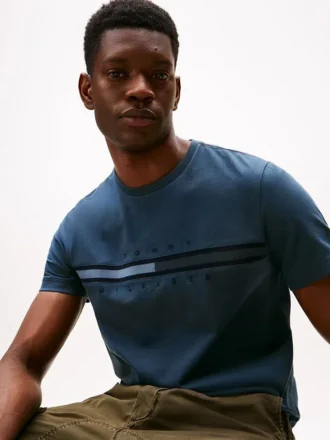 T-shirt com logótipo da bandeira em tons