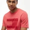 T-shirt com logótipo da bandeira em tons T-shirt com logótipo da bandeira em tons