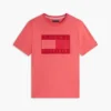 T-shirt com logótipo da bandeira em tons T-shirt com logótipo da bandeira em tons