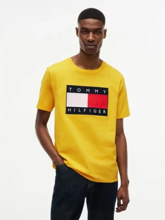 T-shirt com logótipo de bandeira grande
